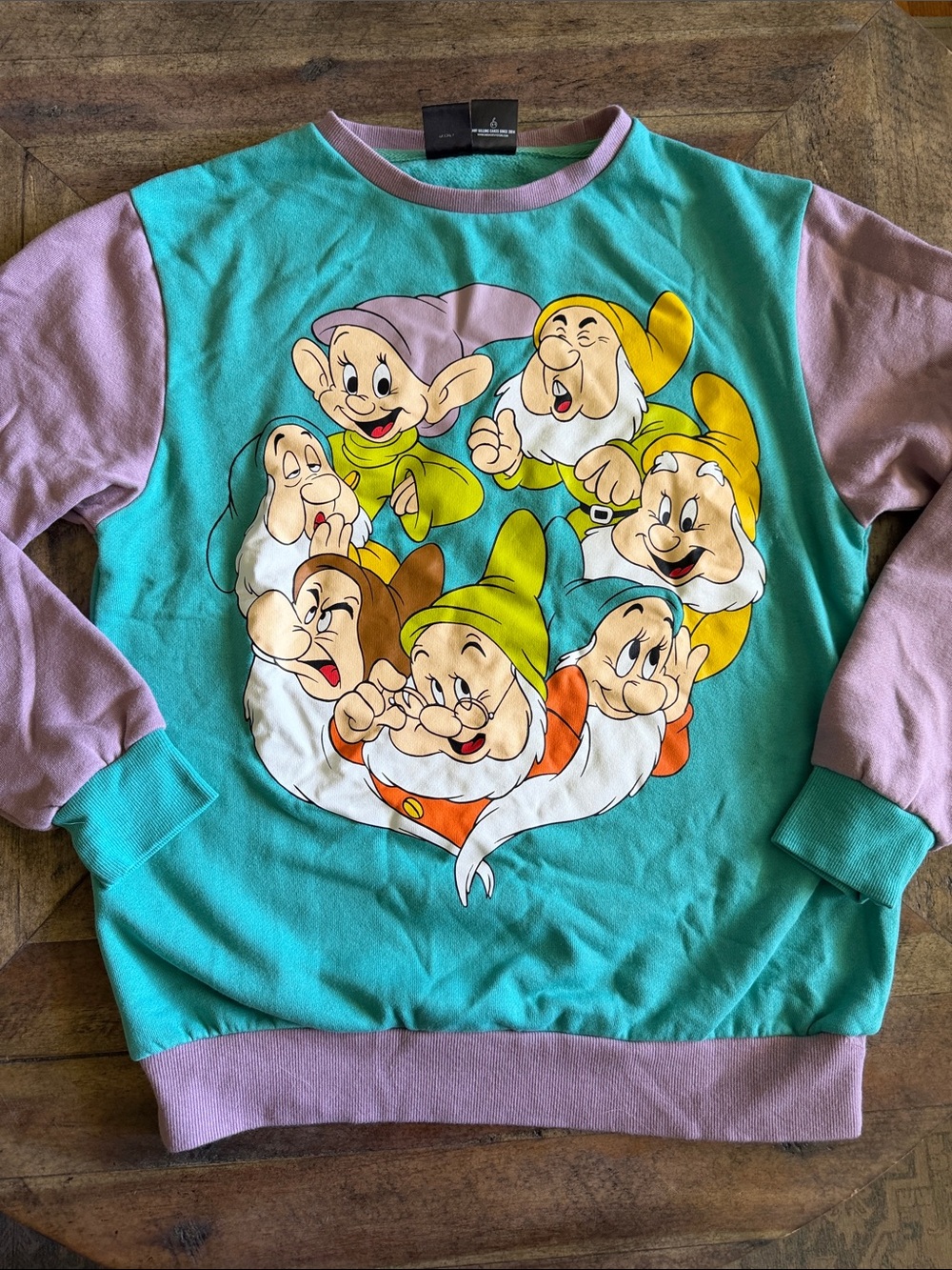 Adult Cakeworthy Small Teal & Lavender Snow White Dwarfs Graphic Pullover
